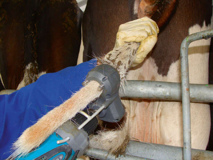 SHOOF Kuhschwanztrimmer TailWell